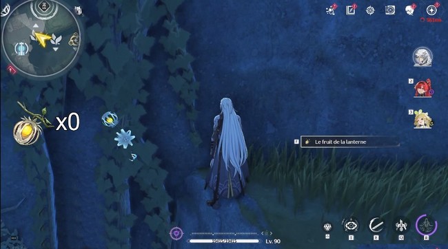 Fruit de la lanterne Wuthering Waves