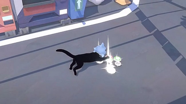 Récupérer 25 qui-brille pour Corbeau Little Kitty Big City-1