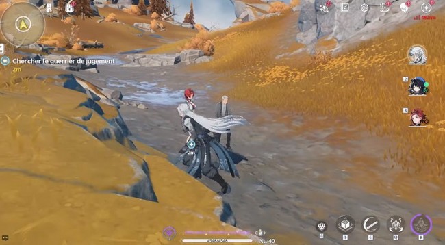 Traineur d'écho à cheveux blancs (1) dans Wuthering Waves-2