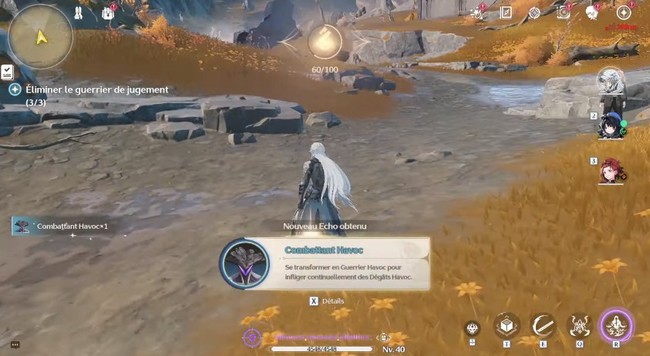 Traineur d'écho à cheveux blancs (1) dans Wuthering Waves-3