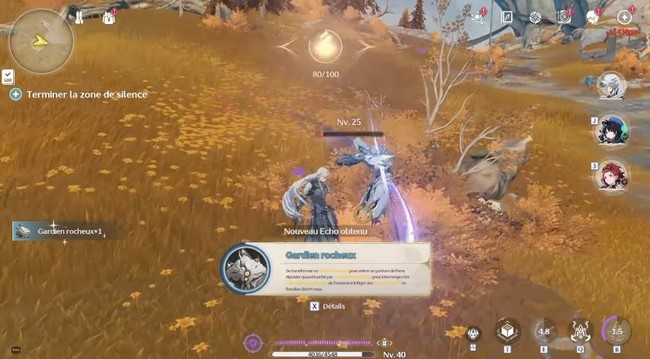 Traineur d'écho à cheveux blancs (1) dans Wuthering Waves-4