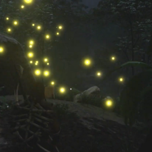 attraper des lucioles dans Soulmask