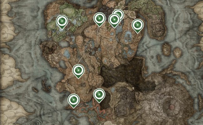 8 Larmes Elden Ring Shadow of the Erdtree