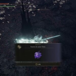 talisman Sourire de Sainte Trina