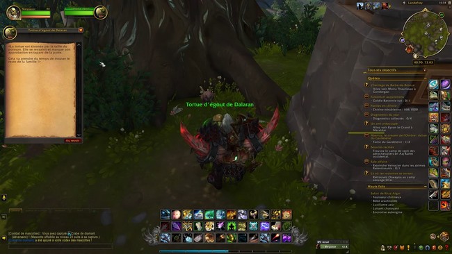 COMMENT OBTENIR LA MASCOTTE TORTUE D’ÉGOUT DE DALARAN