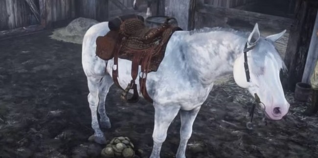Où trouver un Nokota sur Red Dead Redemption 2