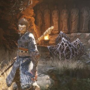 quête l'homme de pierre Black Myth Wukong