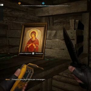 LE CHAMP DE COQUELICOTS - STALKER 2 HEART OF CHORNOBYL-4