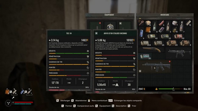 LE CHAMP DE COQUELICOTS - STALKER 2 HEART OF CHORNOBYL-5