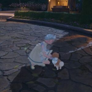 apprivoiser le chien floof dans Infinity Nikki