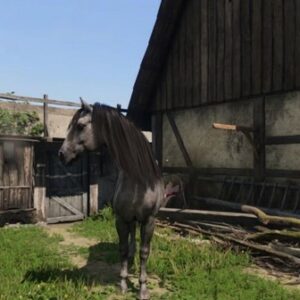 cheval Galet dans Kingdom Come Deliverance 2