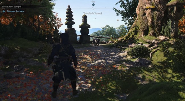 Laissé pour compte Assassin's Creed Shadows