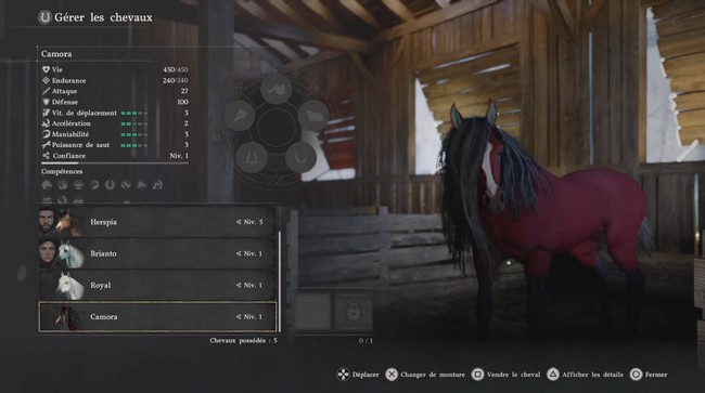 Camora Crimson Desert