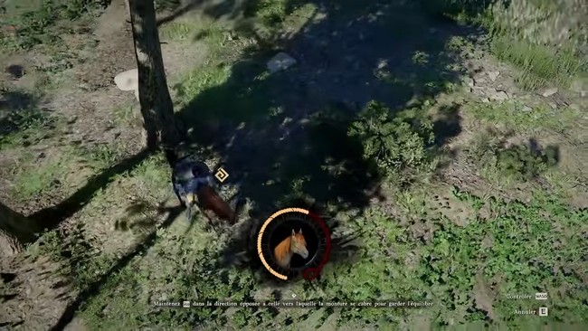 Comment dompter un cheval - Crimson Desert