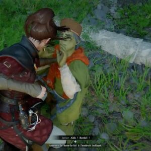 Contradiction Crimson Desert