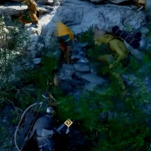 Crimson Desert Blix _ localisation et capture