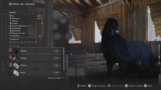 Rokade Crimson Desert