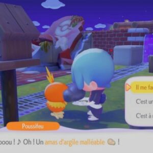 briques dans Pokémon Pokopia