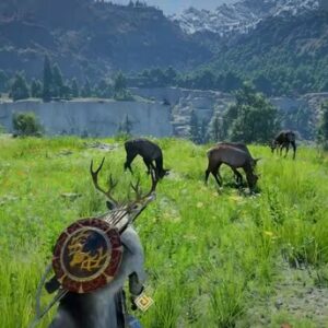 cape de renne Crimson Desert