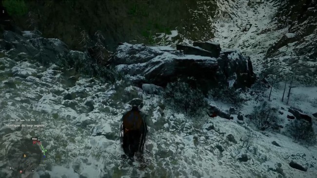 BISON BLANC LÉGENDAIRE - GRANDE VACHE SAUVAGE BLANCHE CRIMSON DESERT