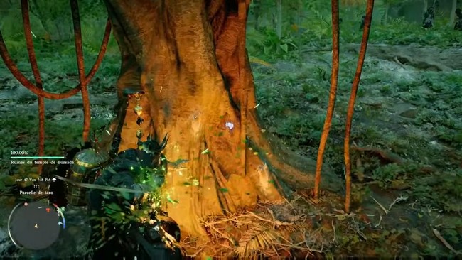 Utiliser la compétence Coup de paume : Guérison