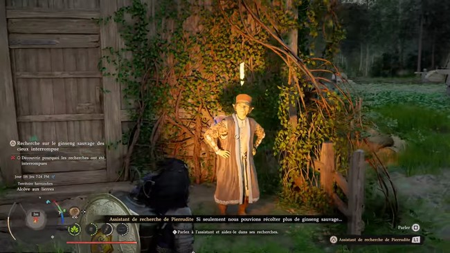 Recherche sur le Ginseng Sauvage des Cieux Interrompue - Crimson Desert