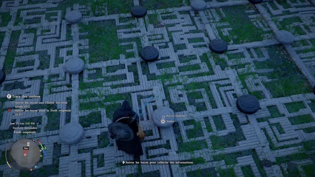 Suivre les traces dans la Forêt vespérale dans Crimson Desert