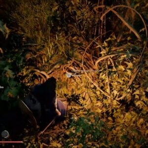 emplacment Ginseng Sauvage des Cieux Interrompue - Crimson Desert