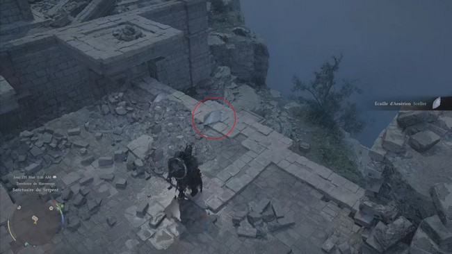 Écaille d'Aesérion