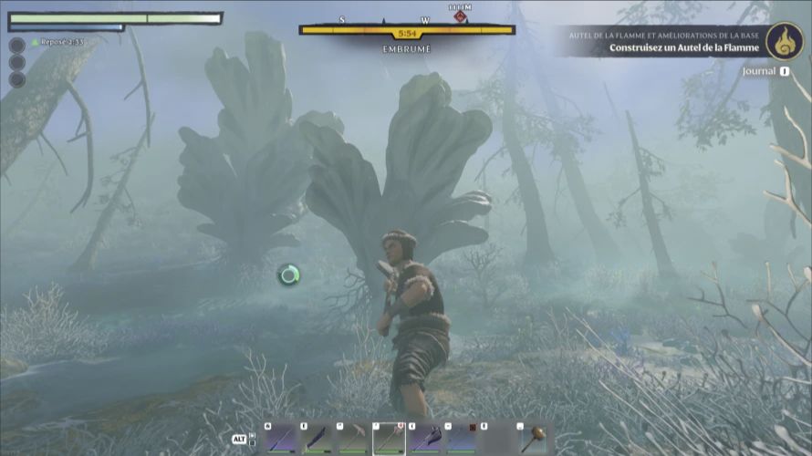 Grandes plantes en éventail à récolter dans la brume d’Enshrouded