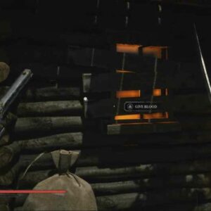 Fenêtre de Seamus Diggory avec le choix de remettre du sang dans Valor Mortis