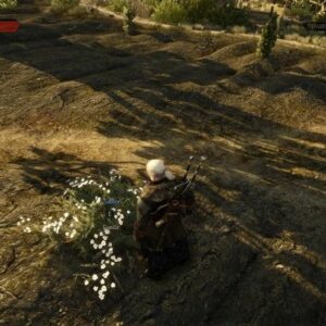 Geralt devant une plante de sabline aux petites fleurs blanches dans The Witcher 3