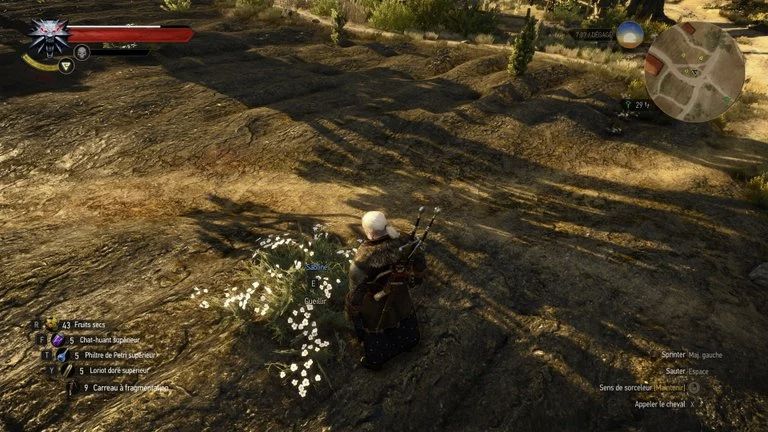 Geralt devant une plante de sabline aux petites fleurs blanches dans The Witcher 3